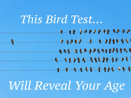 This Bird Test will Reveal your True Age - Astrologjia